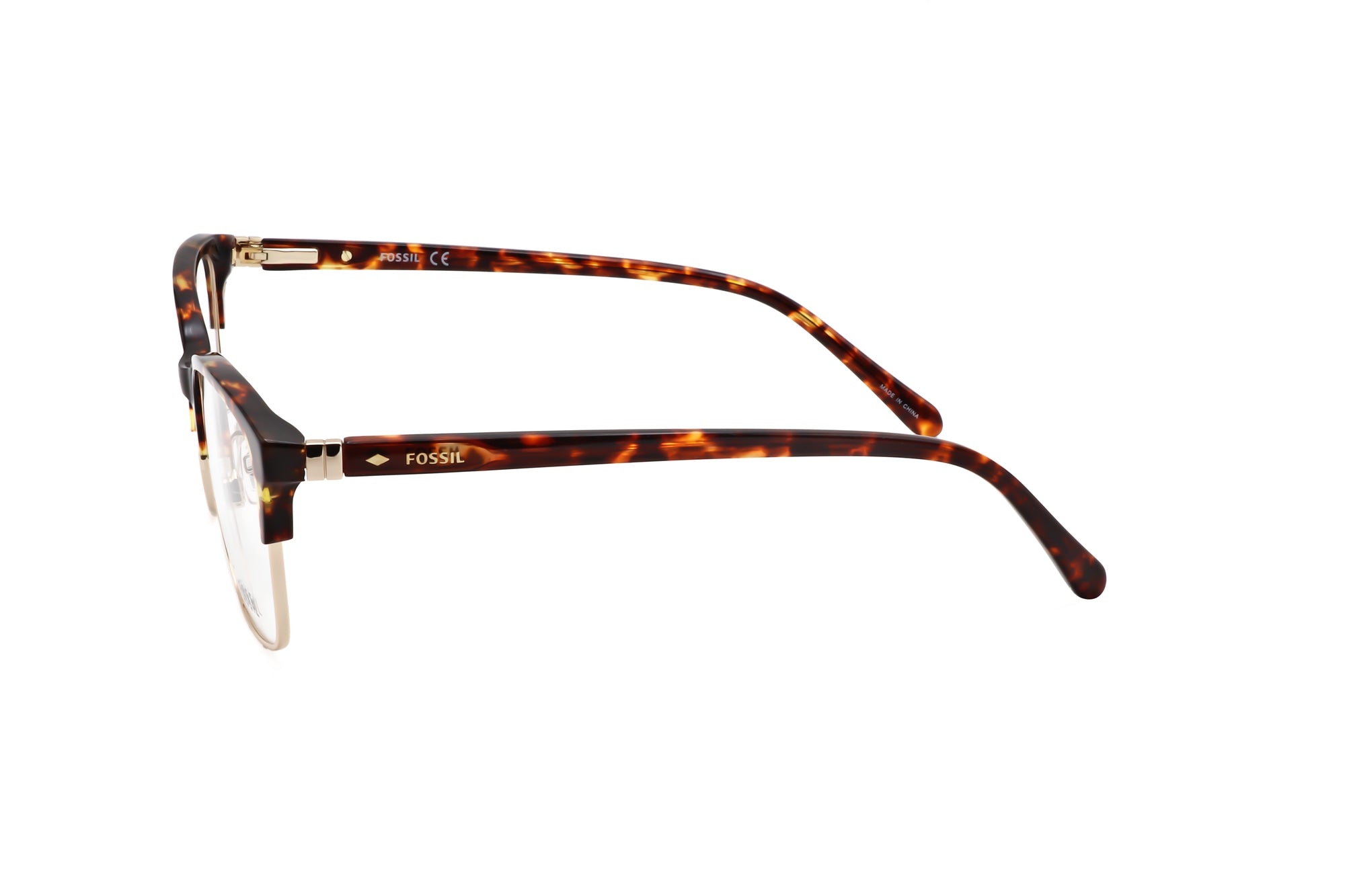 TORTOISE variant third image