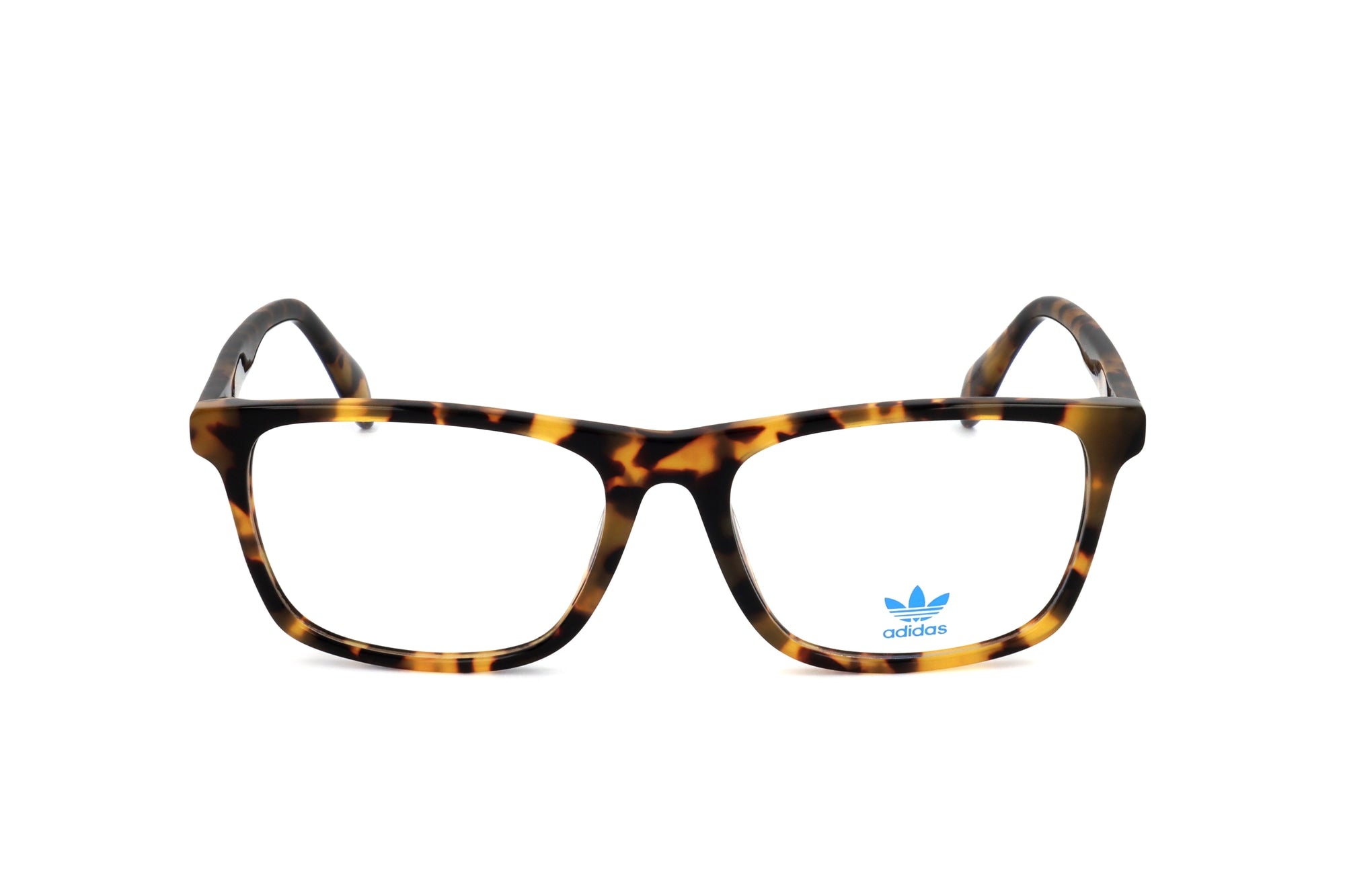 TORTOISE variant main image