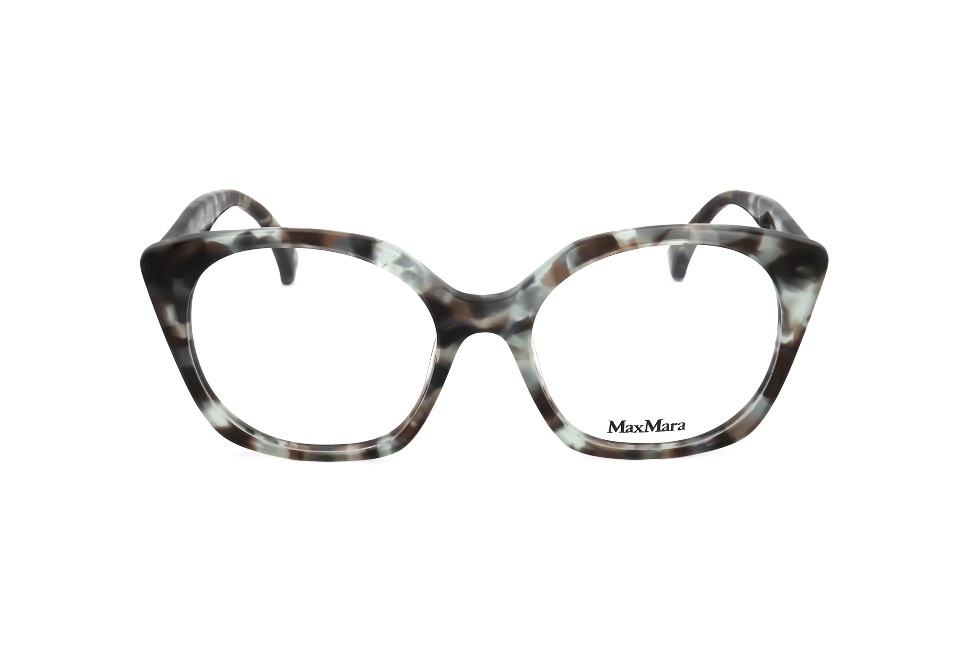 TORTOISE variant main image