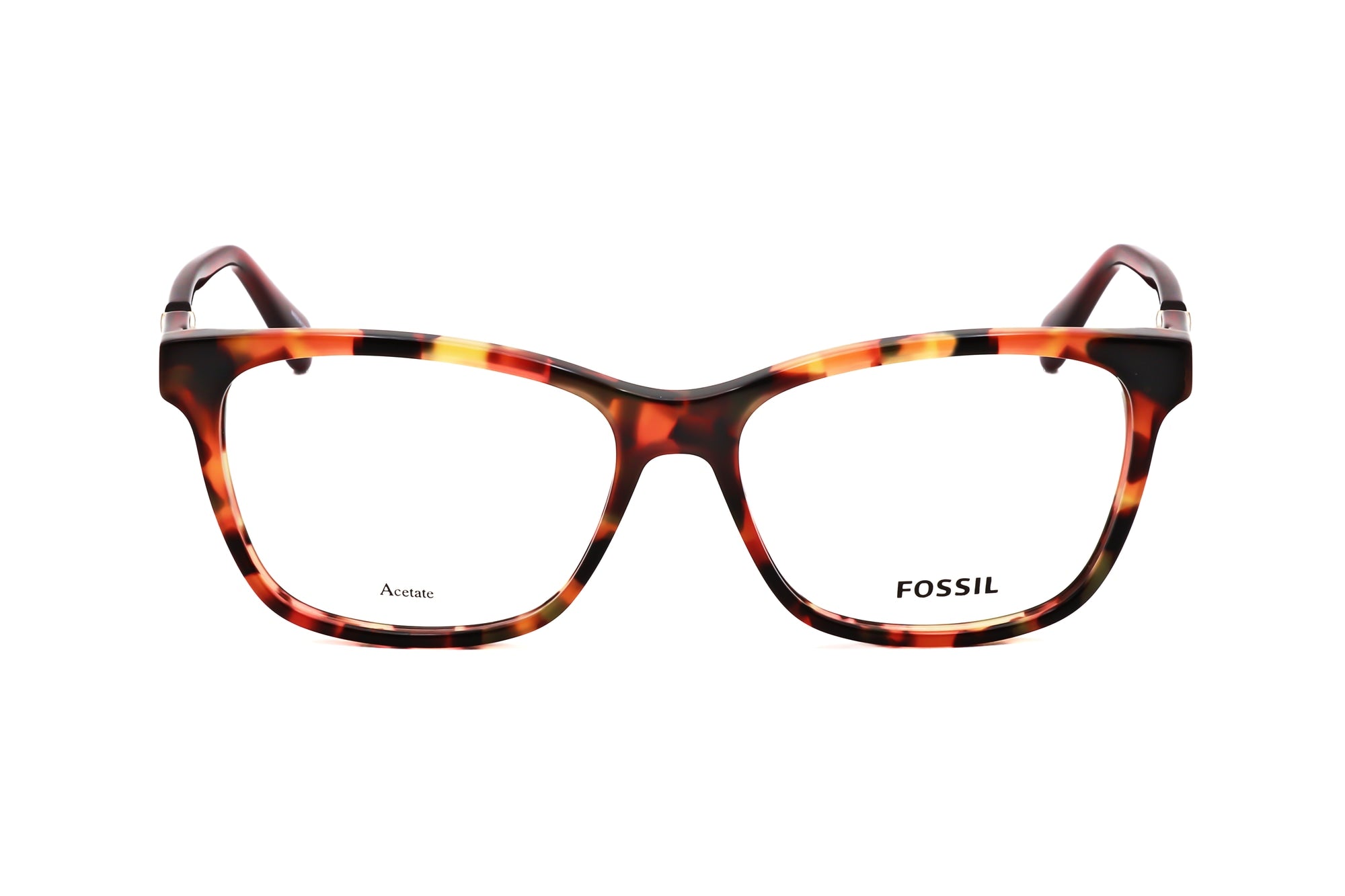 TORTOISE variant main image