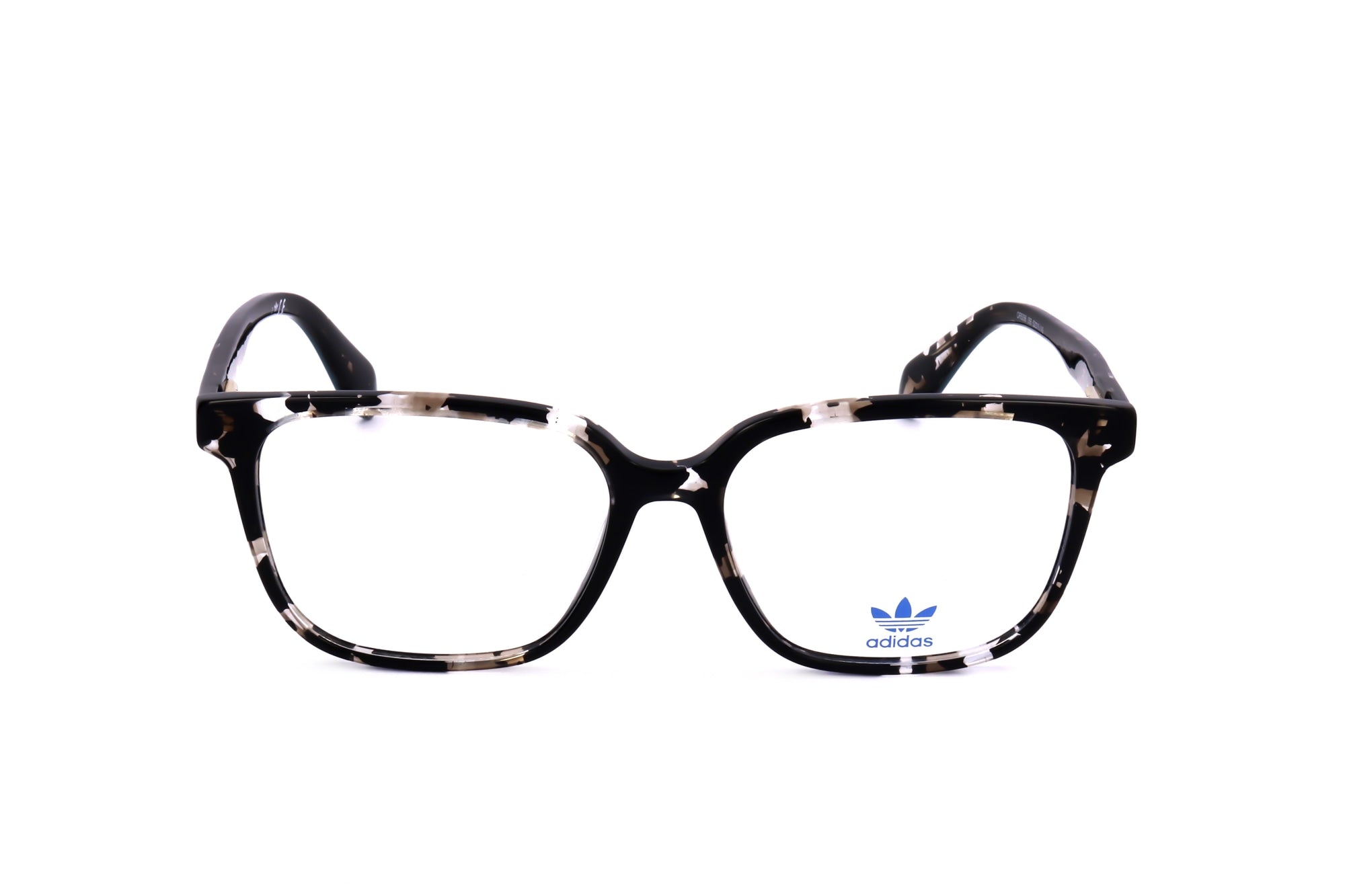 TORTOISE variant main image