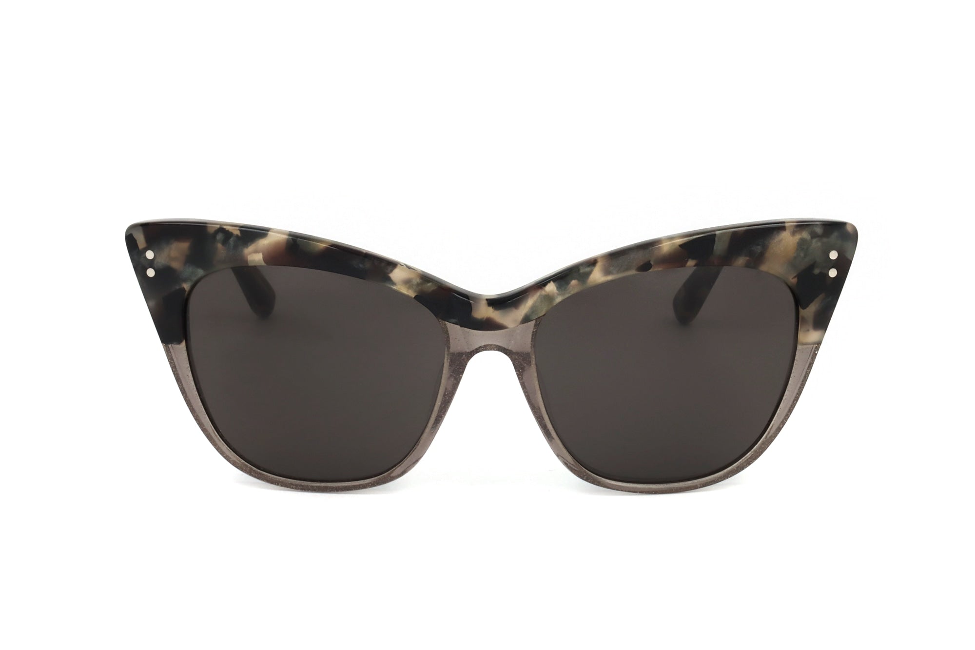 TORTOISE variant main image