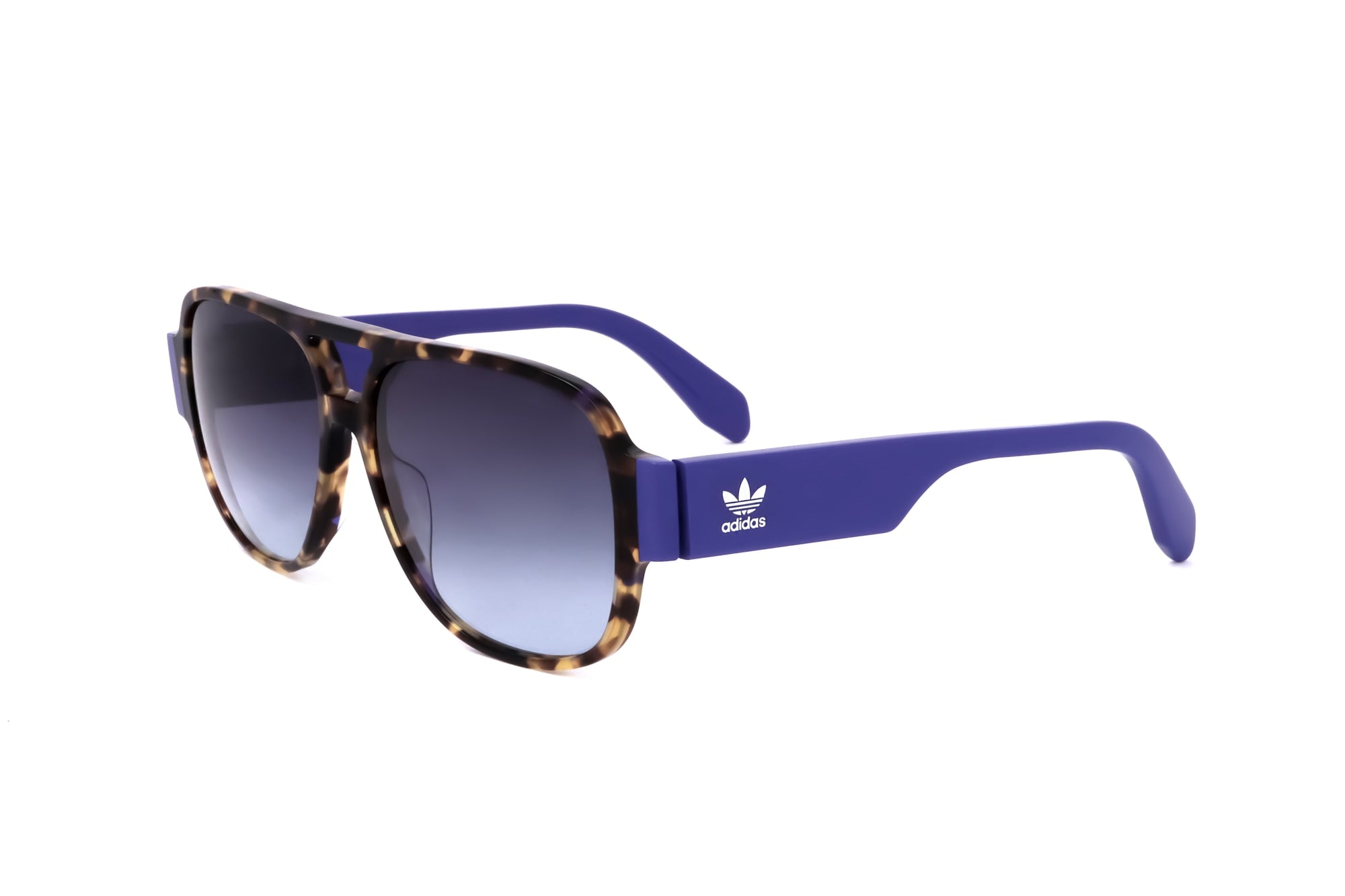 TORTOISE variant second image