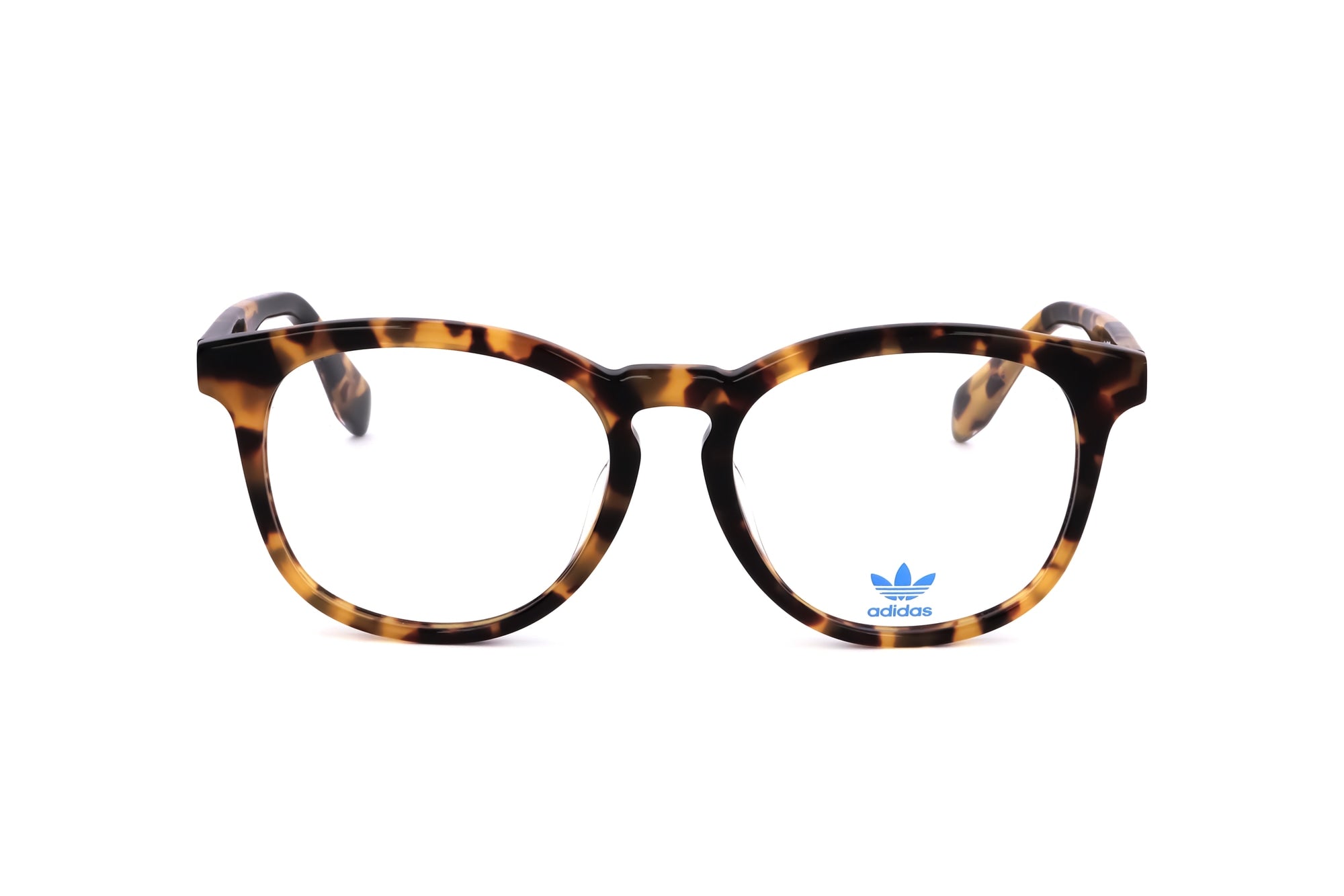 TORTOISE variant main image