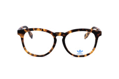 TORTOISE variant main image