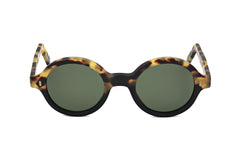 TORTOISE variant main image