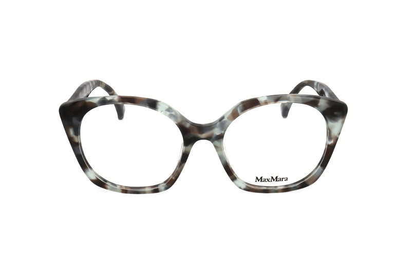 TORTOISE variant main image