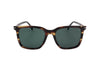 David Beckham Men's Acetate Sunglasses