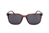 David Beckham Men's Light acetate Sunglasses