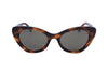 Moschino Women's Acetate Sunglasses