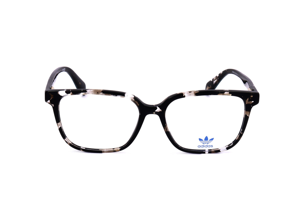 TORTOISE variant main image