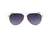 Hugo Boss Women's Stainless steel Sunglasses