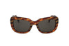 Moschino Women's Acetate Sunglasses