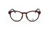 Adidas Original Unisex Injected Glasses